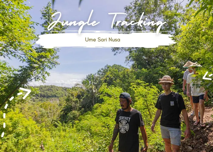 Lodge Ume Sari Nusa